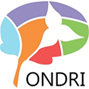 Ontario Neurodegenerative Disease Research Initiative (ONDRI) 